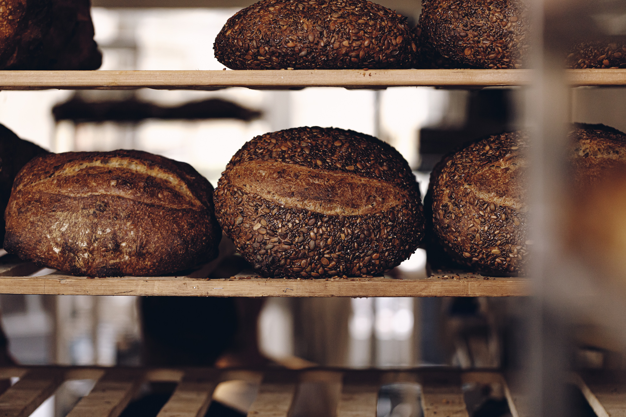 Seeded sourdough loaves cooling on wooden shelves